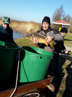 Karpfenbesatz 2018